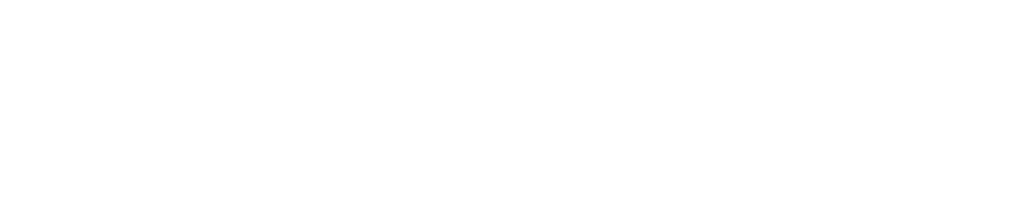 BIA — Business Intelligence Analytics